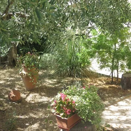 Apartman Studio In With Balcony, Air Condition, Wifi Porec